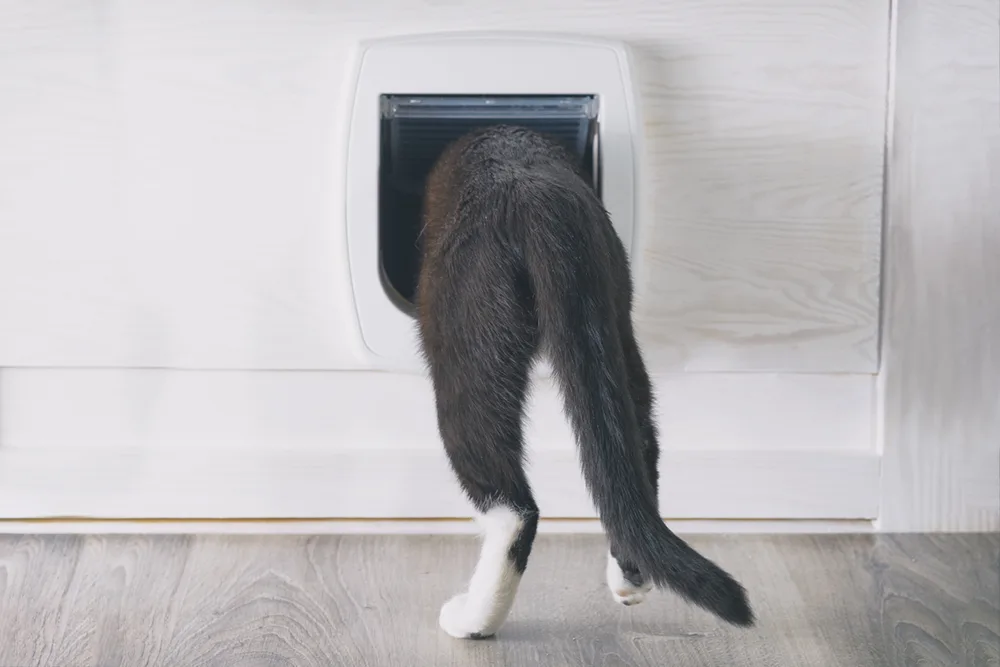 Cat Flap Supplied and Fitted in Epsom